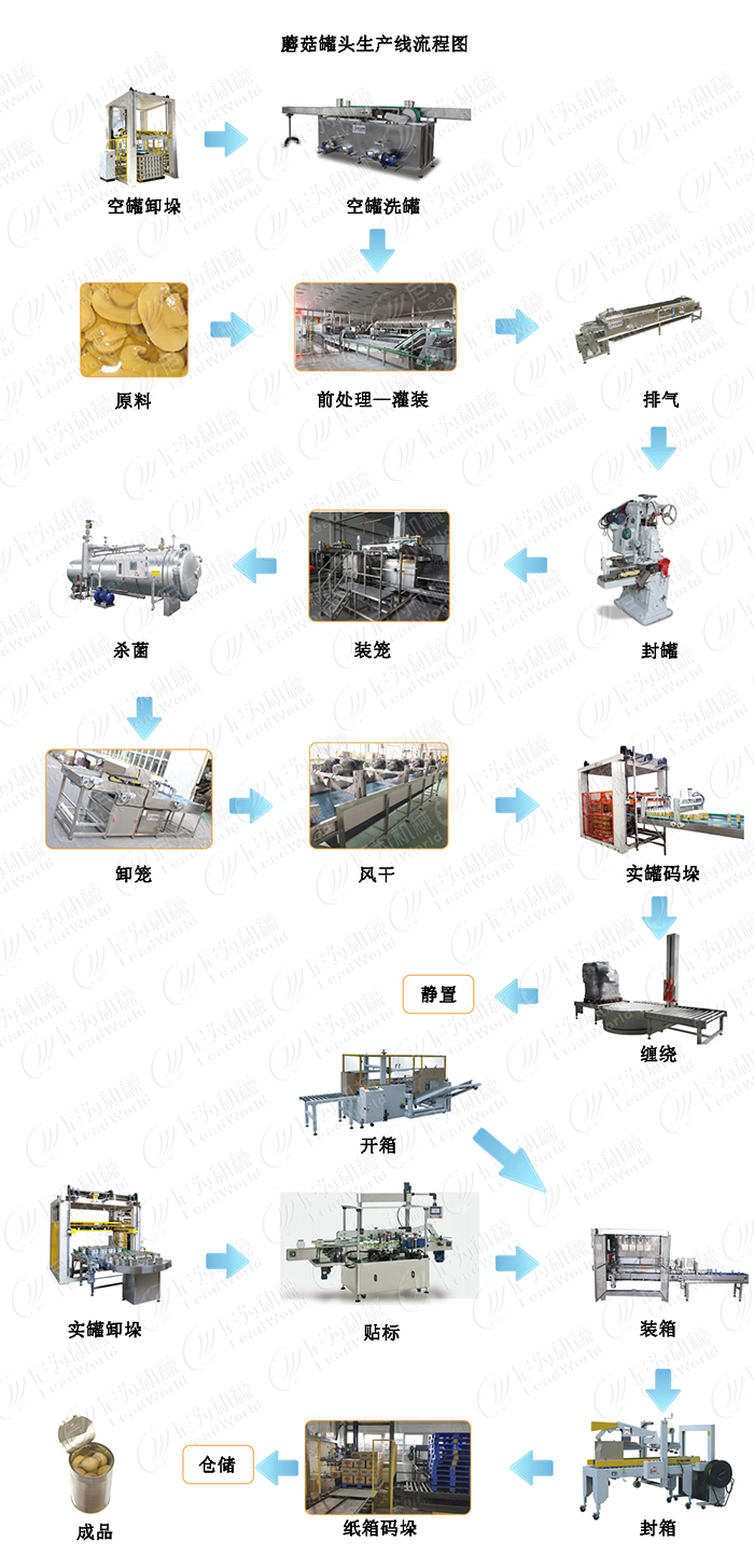 蘑菇罐頭生產線設備